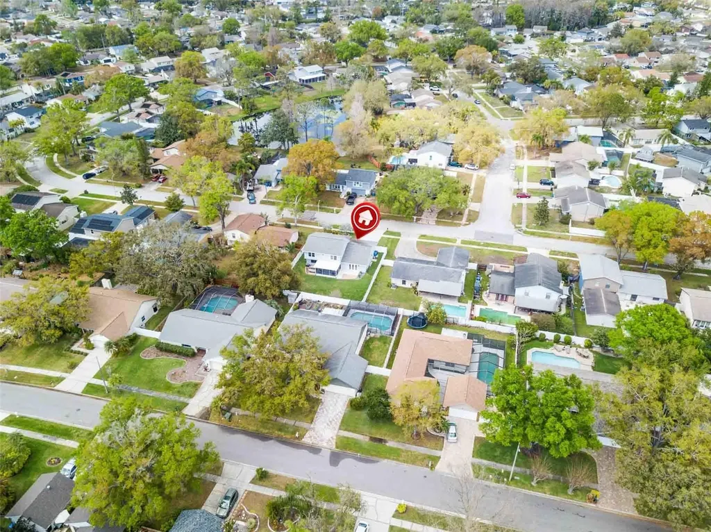 4104 Dellbrook Drive Tampa FL 33624