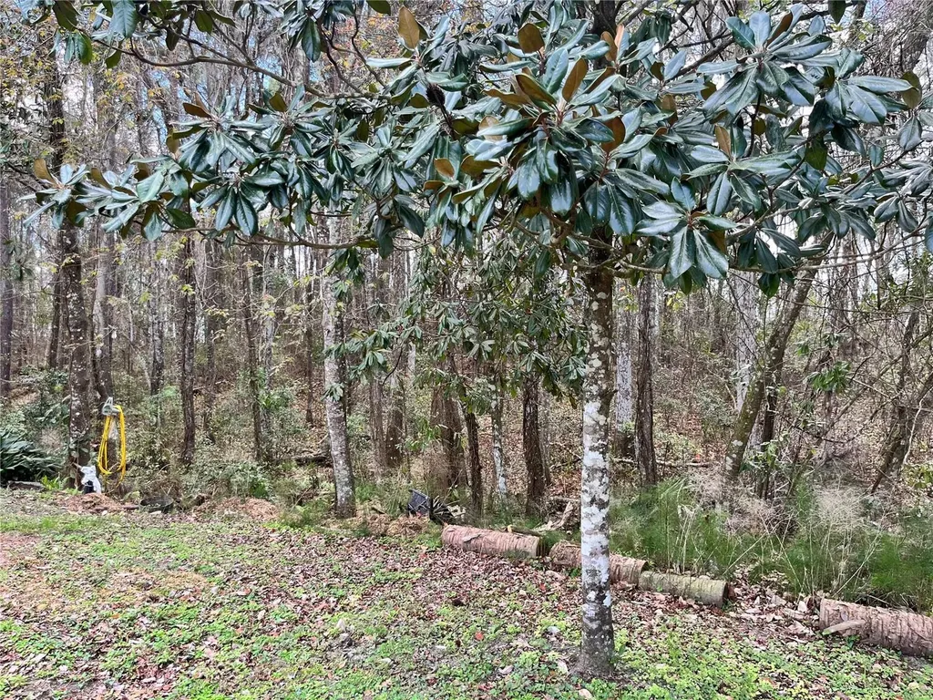 5608 W County Road 240 Lake Butler FL 32054