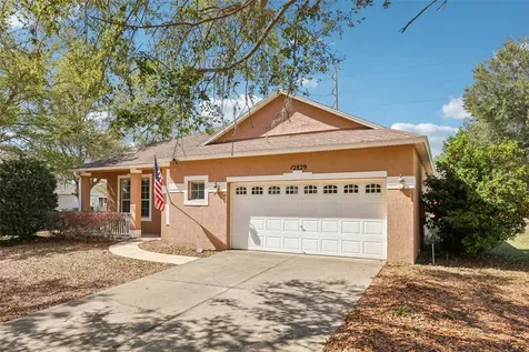 12829 Scout Court Grand Island FL 32735