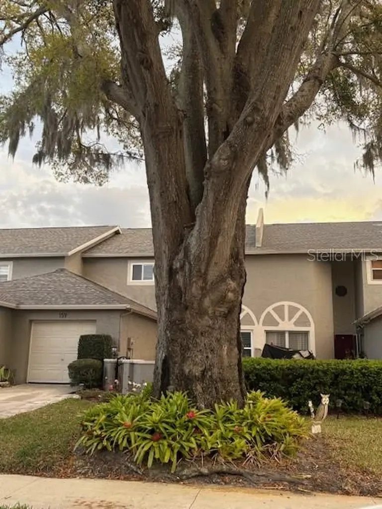 159 Hunter Court Palm Harbor FL 34684