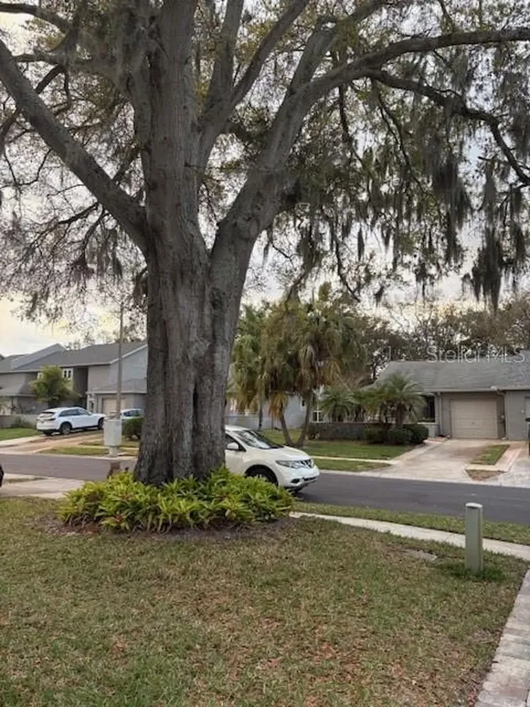 159 Hunter Court Palm Harbor FL 34684