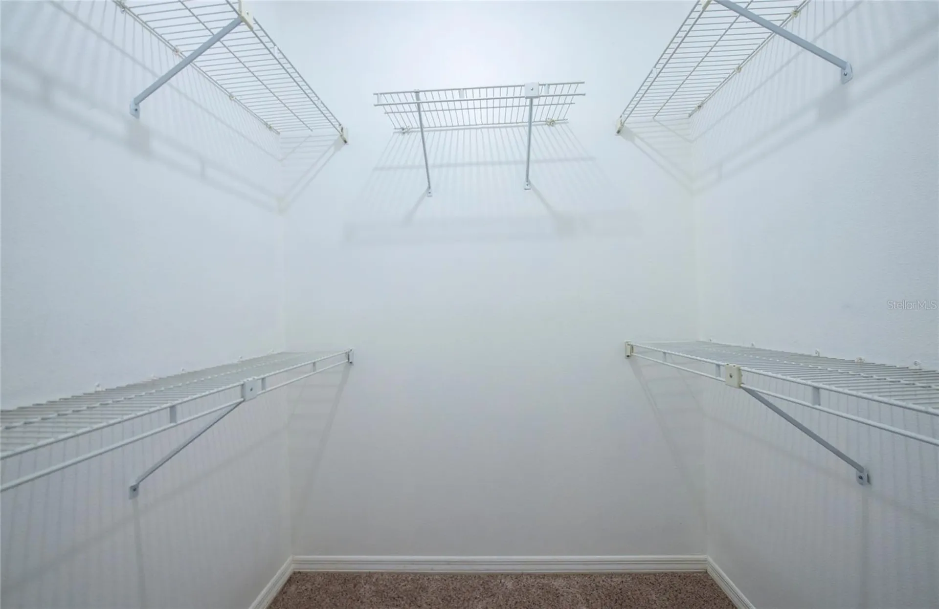 159 Hunter Court Palm Harbor FL 34684