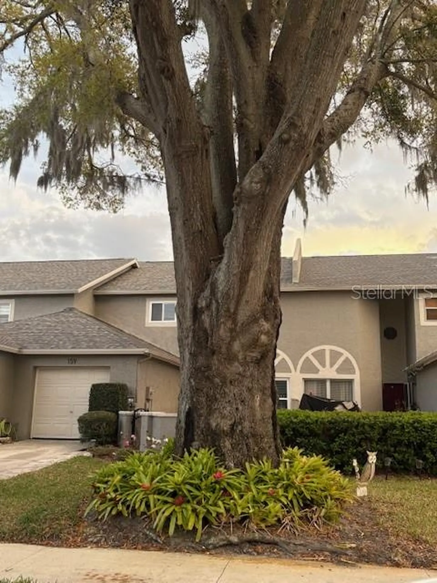 159 Hunter Court Palm Harbor FL 34684