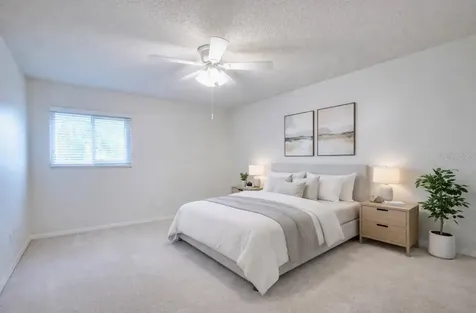 159 Hunter Court Palm Harbor FL 34684