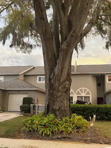 159 Hunter Court Palm Harbor FL 34684