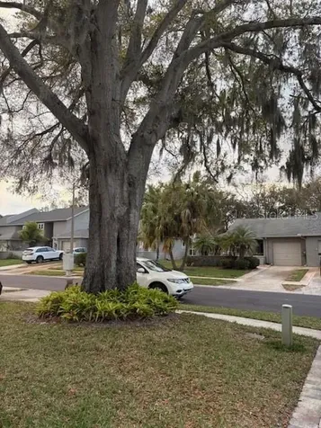 159 Hunter Court Palm Harbor FL 34684