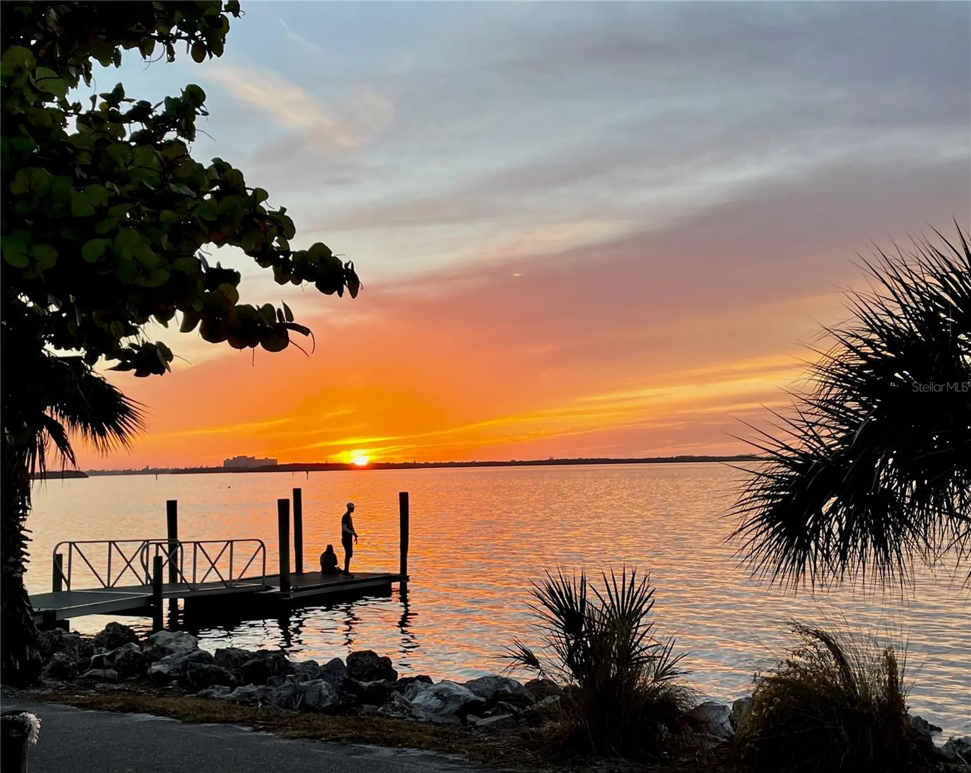 300 Woodette Drive Dunedin FL 34698