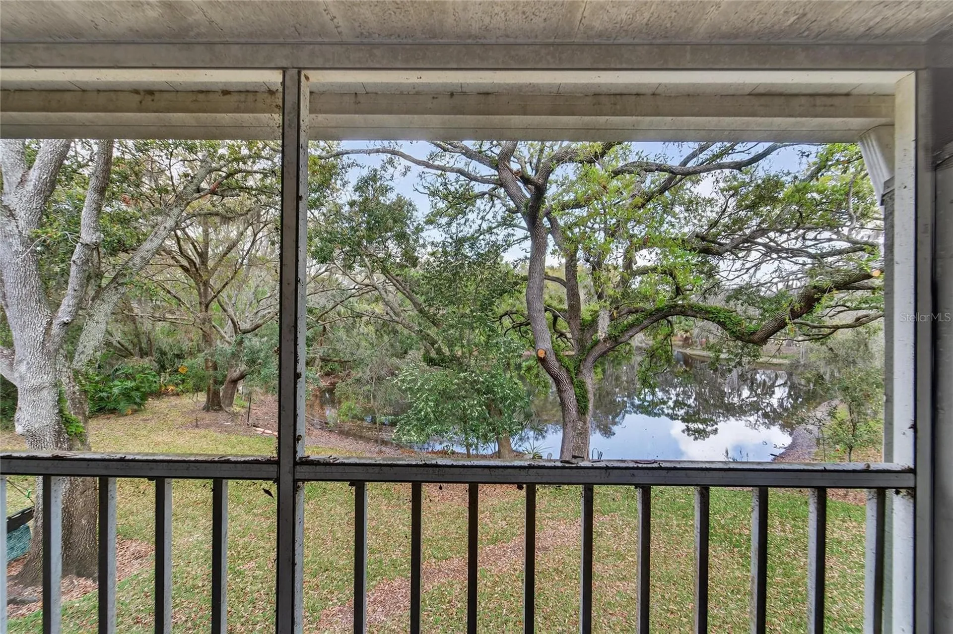 11808 Skylake Place Temple Terrace FL 33617