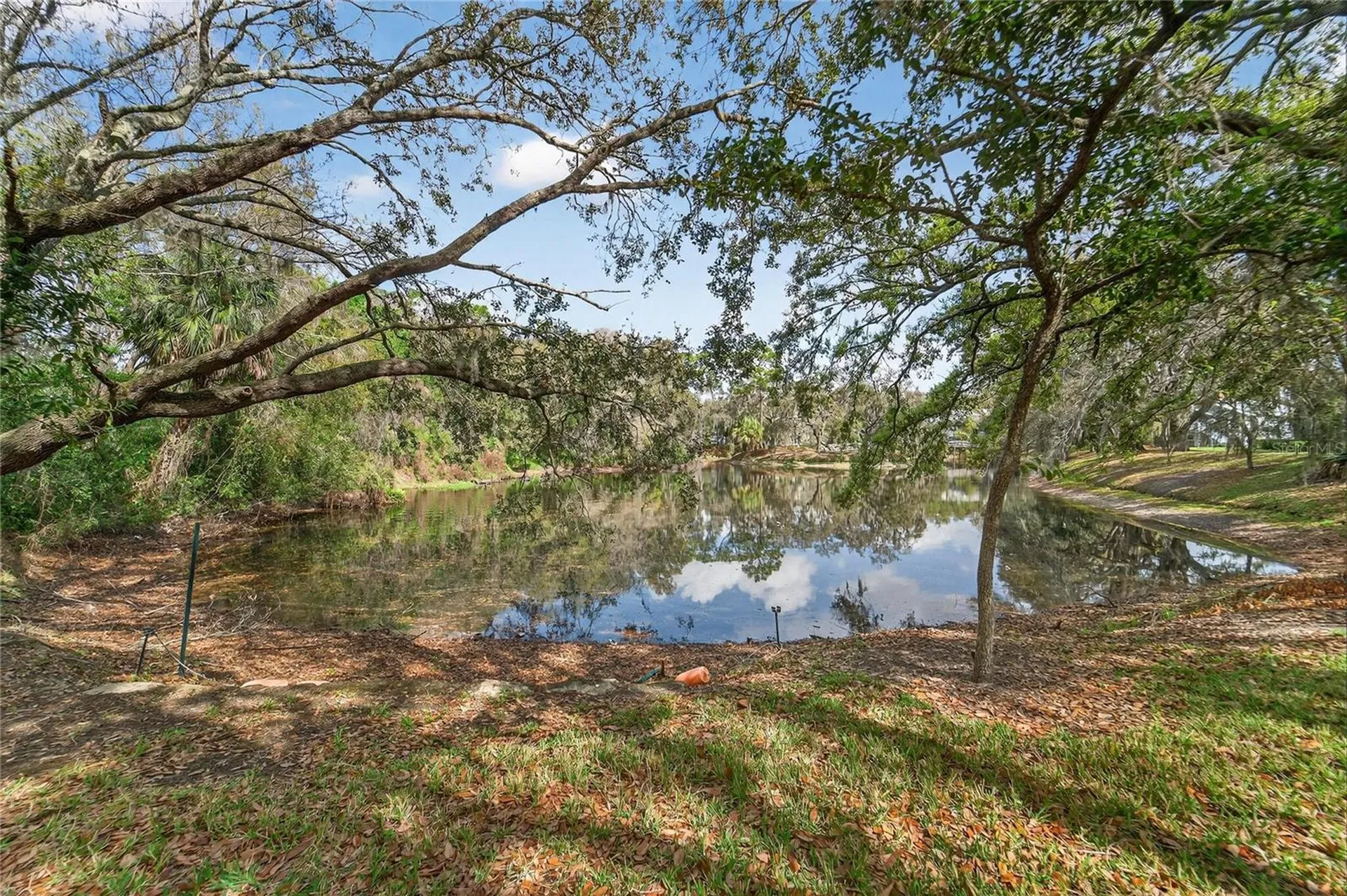11808 Skylake Place Temple Terrace FL 33617