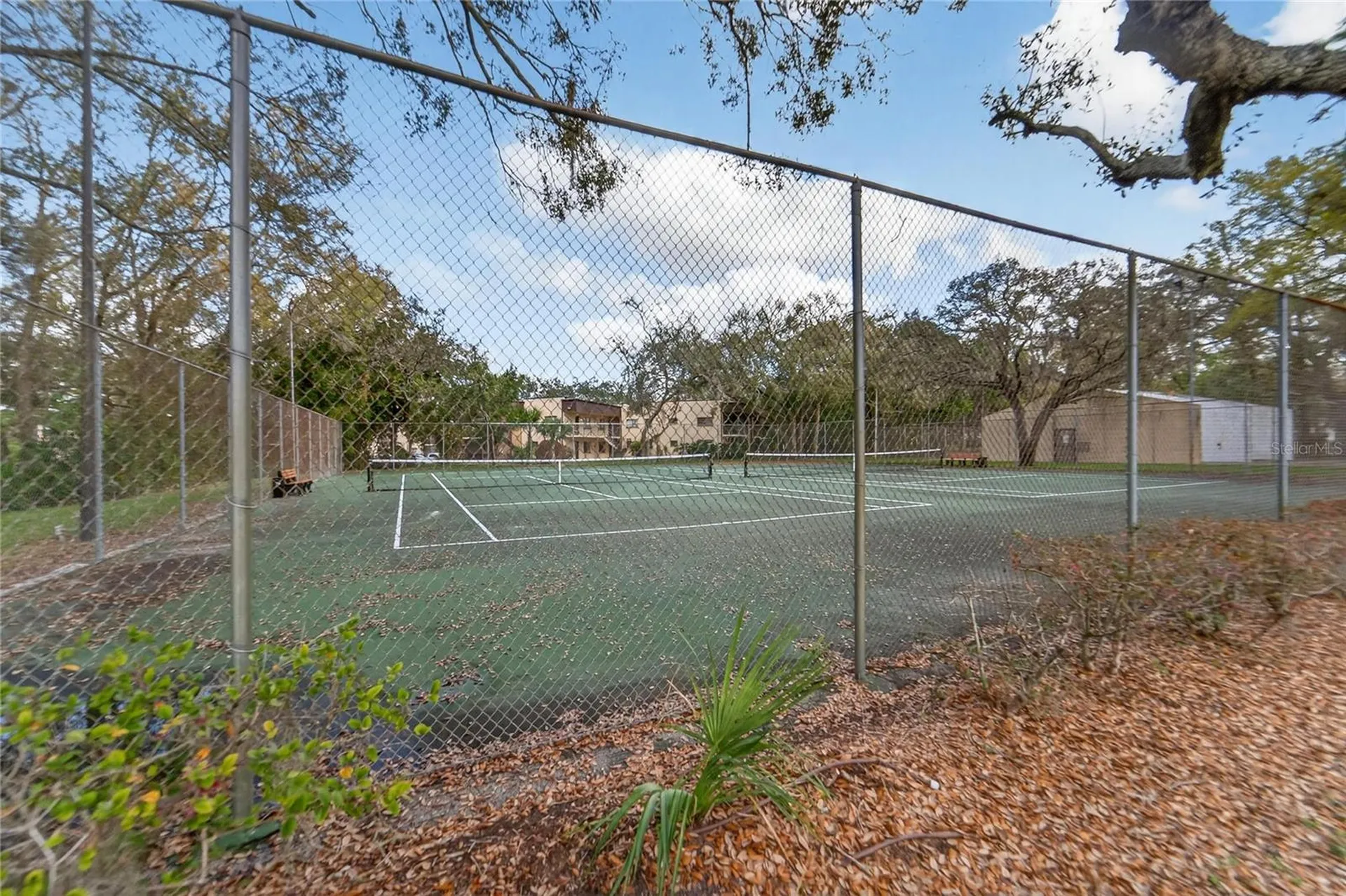 11808 Skylake Place Temple Terrace FL 33617