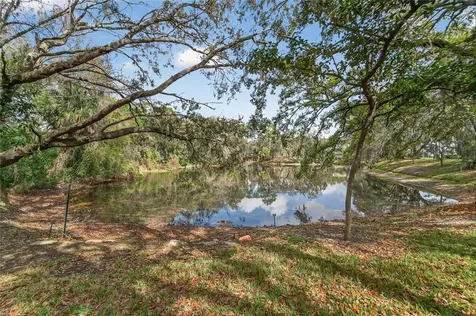 11808 Skylake Place Temple Terrace FL 33617