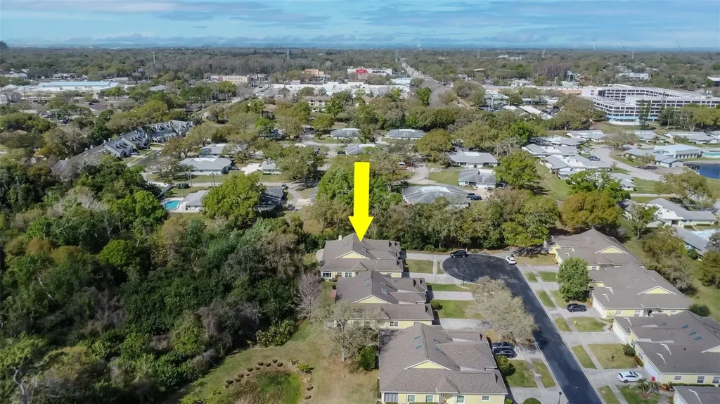 1194 Royal Boulevard Palm Harbor FL 34684