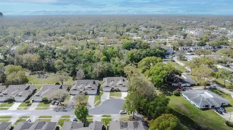1194 Royal Boulevard Palm Harbor FL 34684