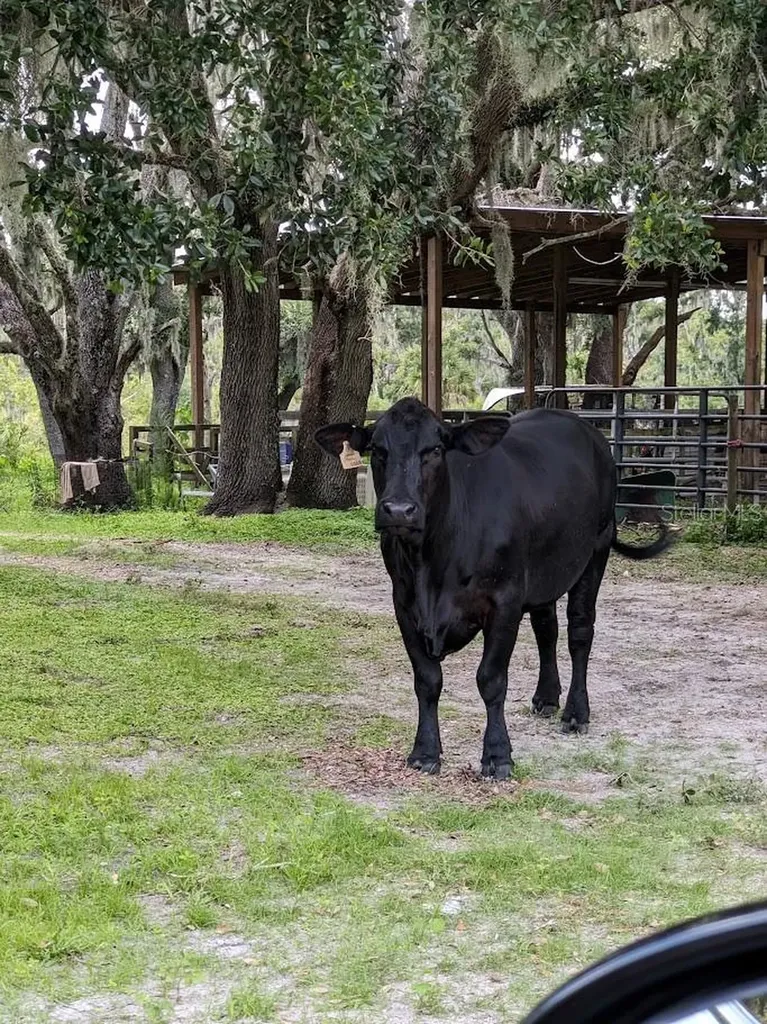 12980 And 12990 River Road Myakka City FL 34251