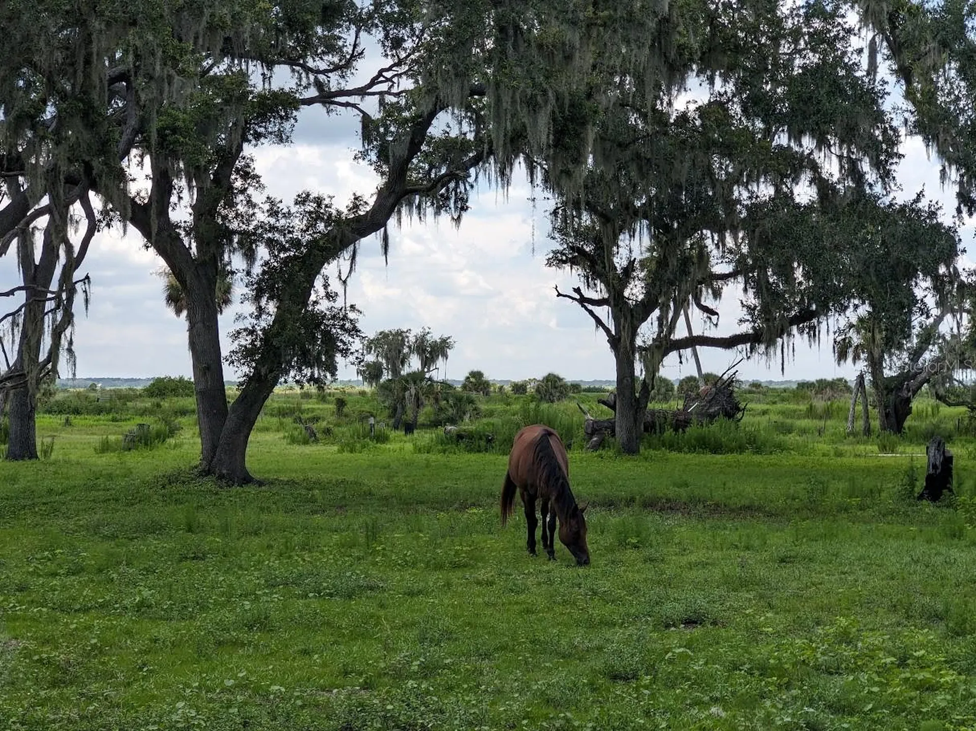 12980 And 12990 River Road Myakka City FL 34251