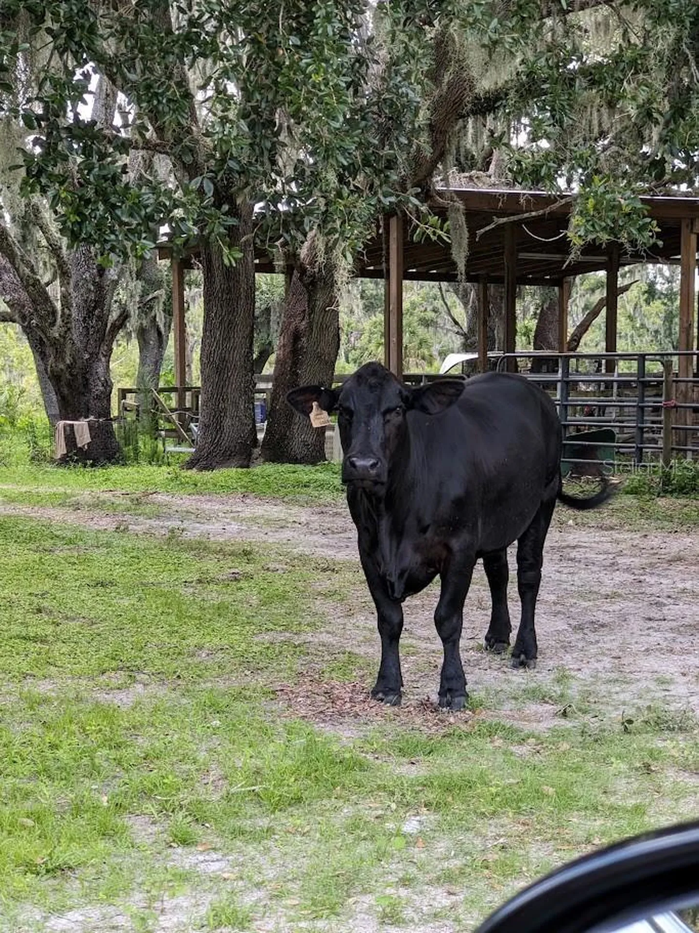 12980 And 12990 River Road Myakka City FL 34251