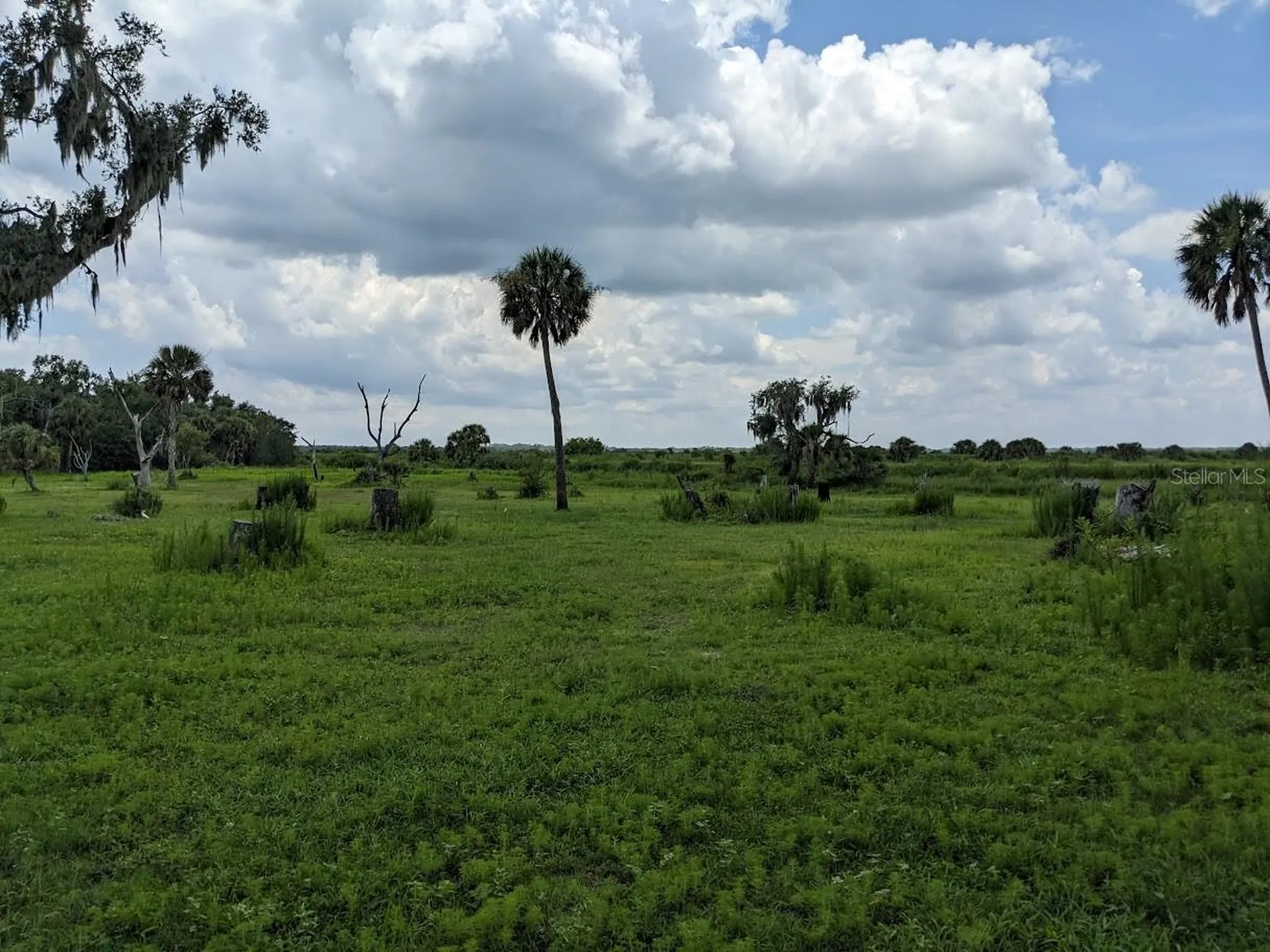 12980 And 12990 River Road Myakka City FL 34251