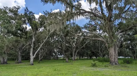 12980 And 12990 River Road Myakka City FL 34251