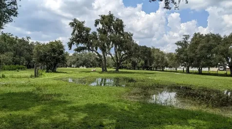 12980 And 12990 River Road Myakka City FL 34251