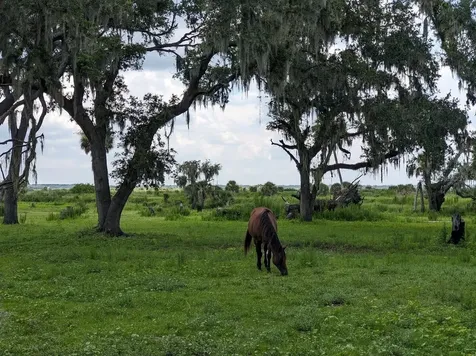 12980 And 12990 River Road Myakka City FL 34251