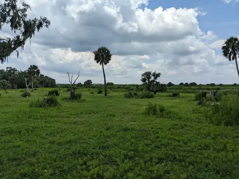 12980 And 12990 River Road Myakka City FL 34251