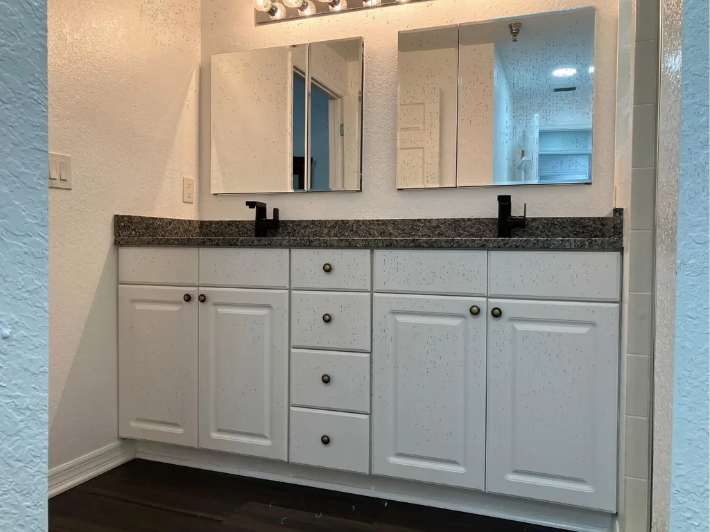 21146 Fountain View Lane Lutz FL 33558