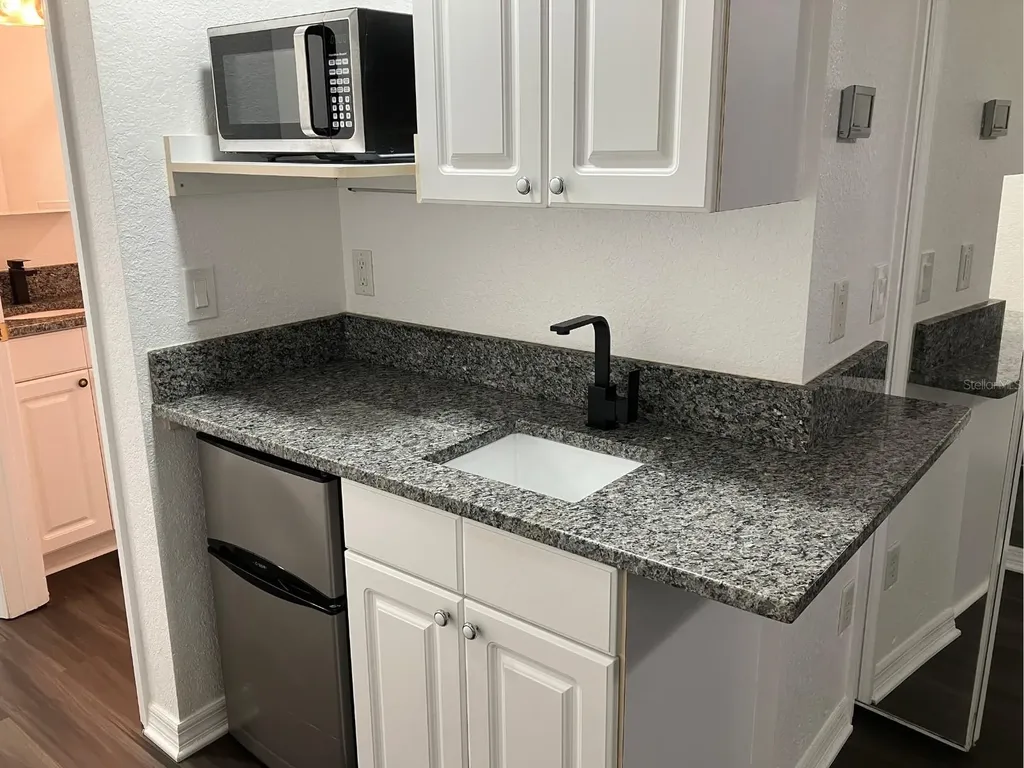 21146 Fountain View Lane Lutz FL 33558