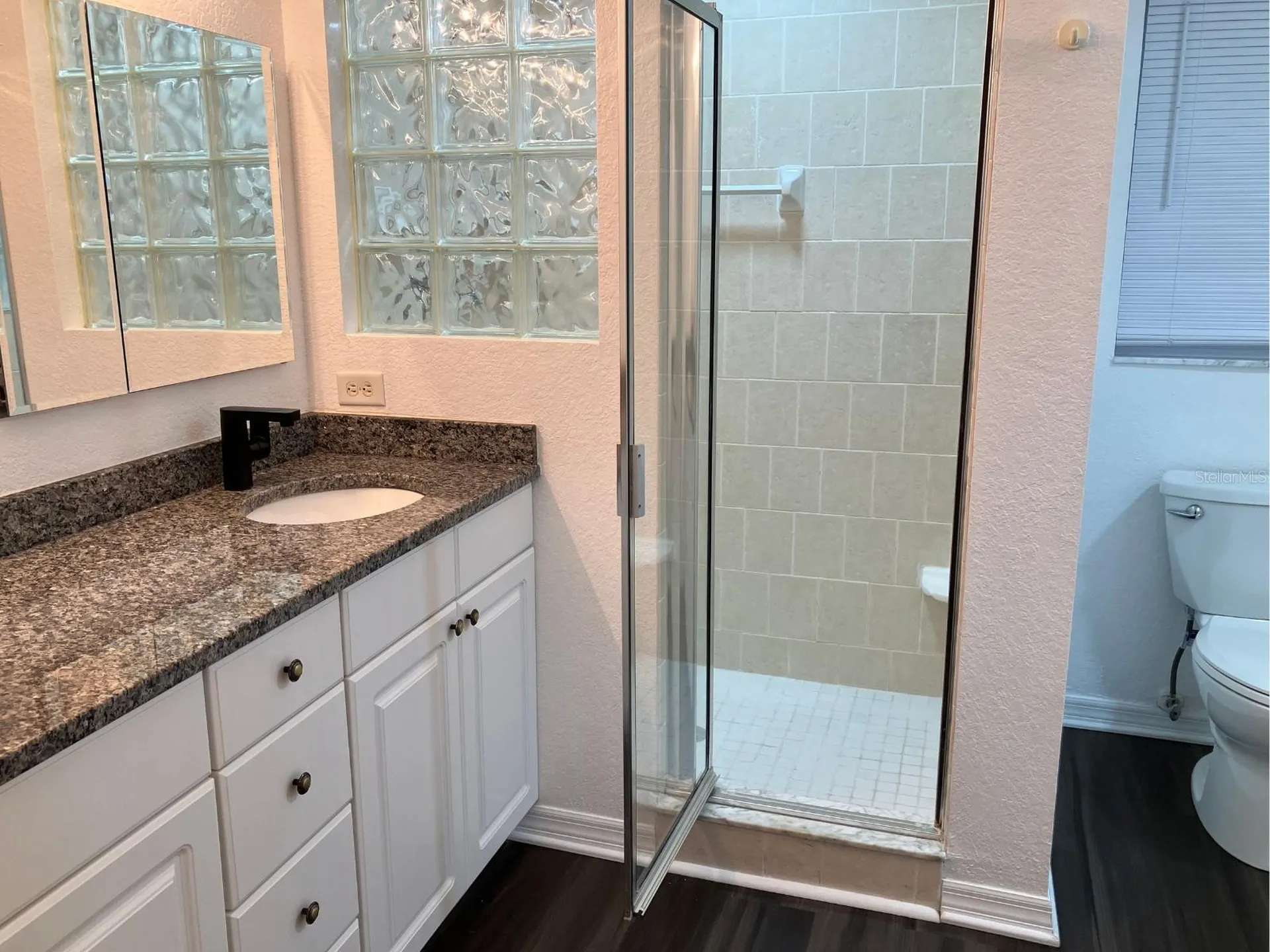 21146 Fountain View Lane Lutz FL 33558
