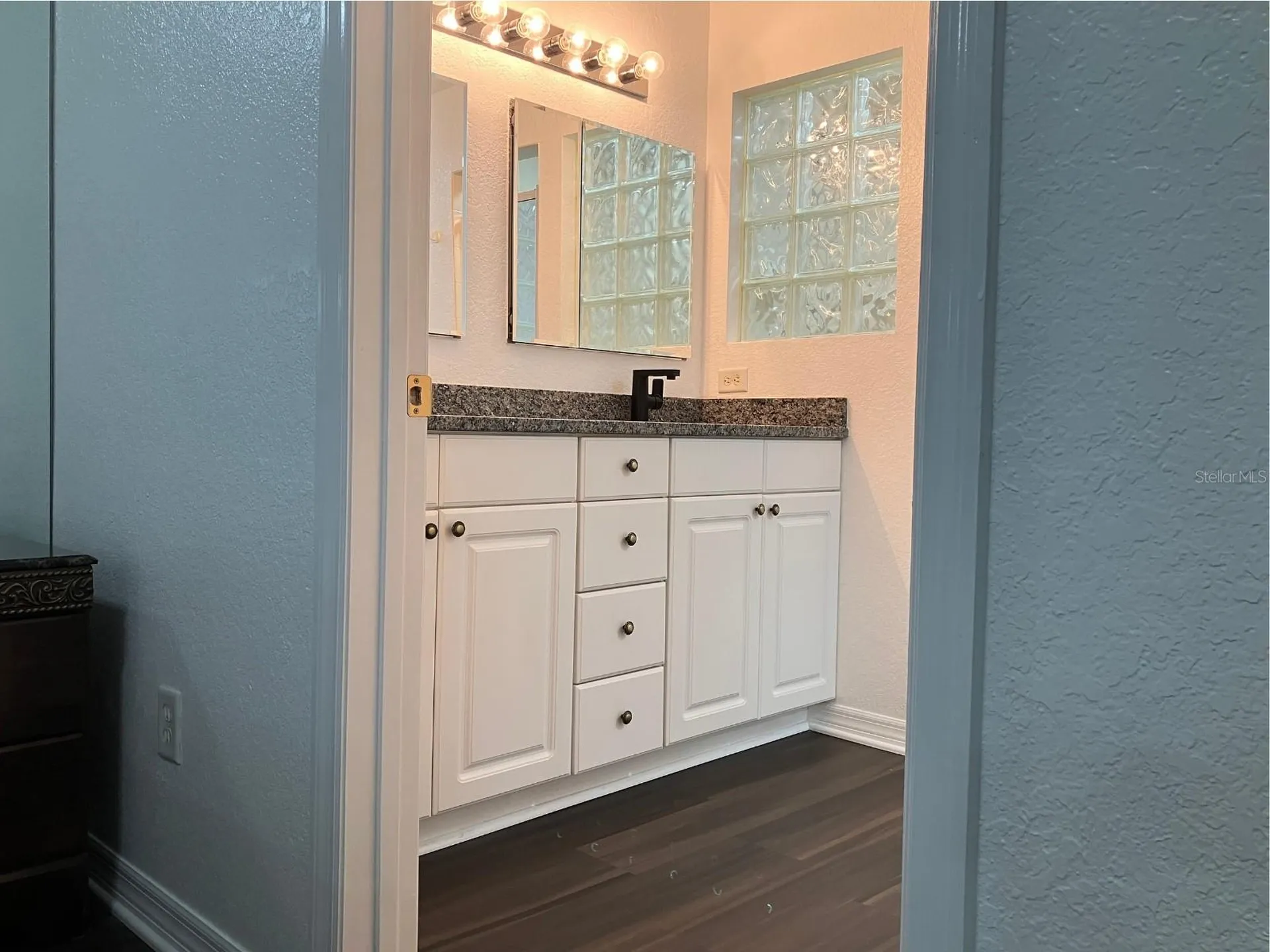 21146 Fountain View Lane Lutz FL 33558