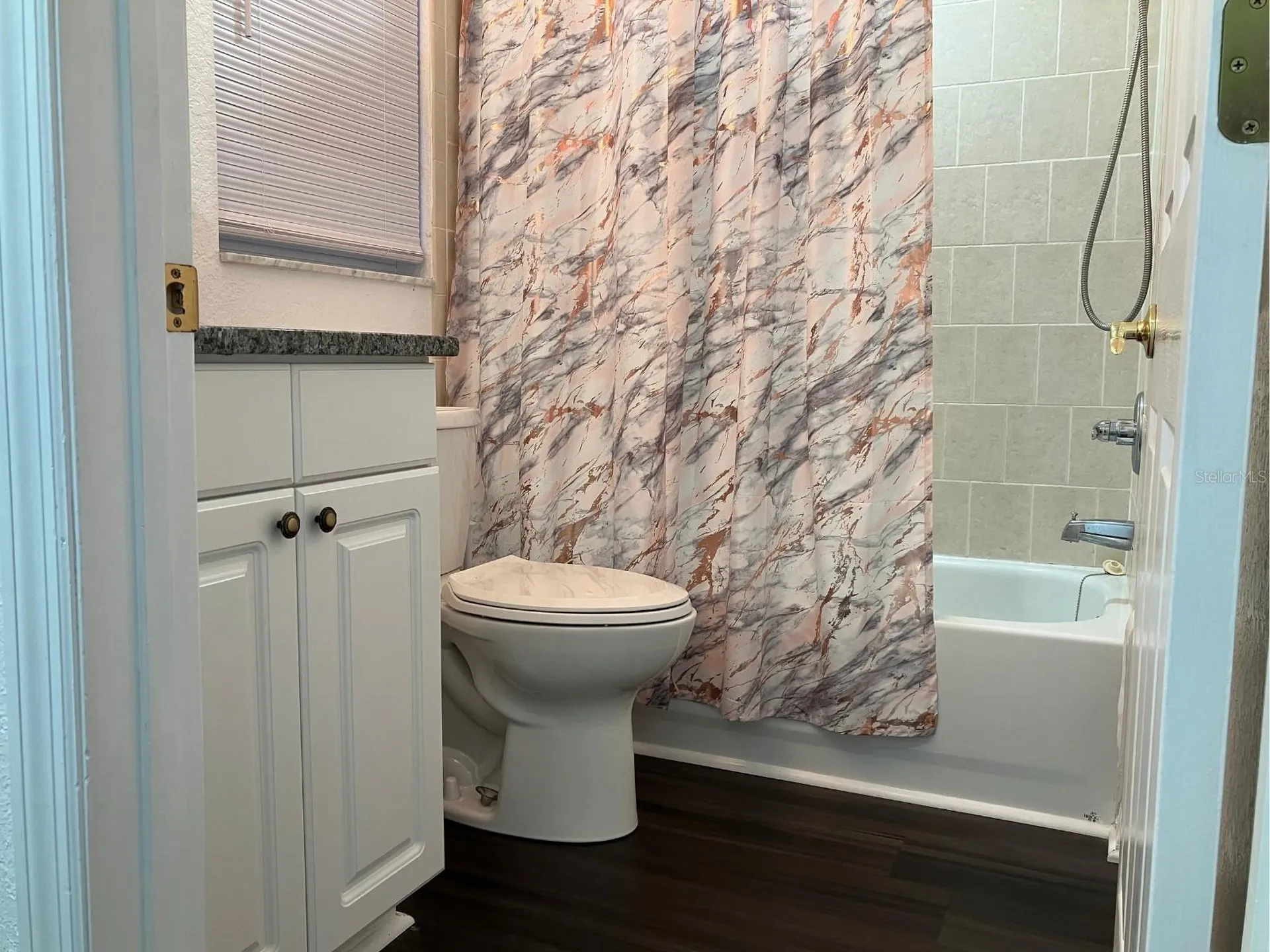 21146 Fountain View Lane Lutz FL 33558