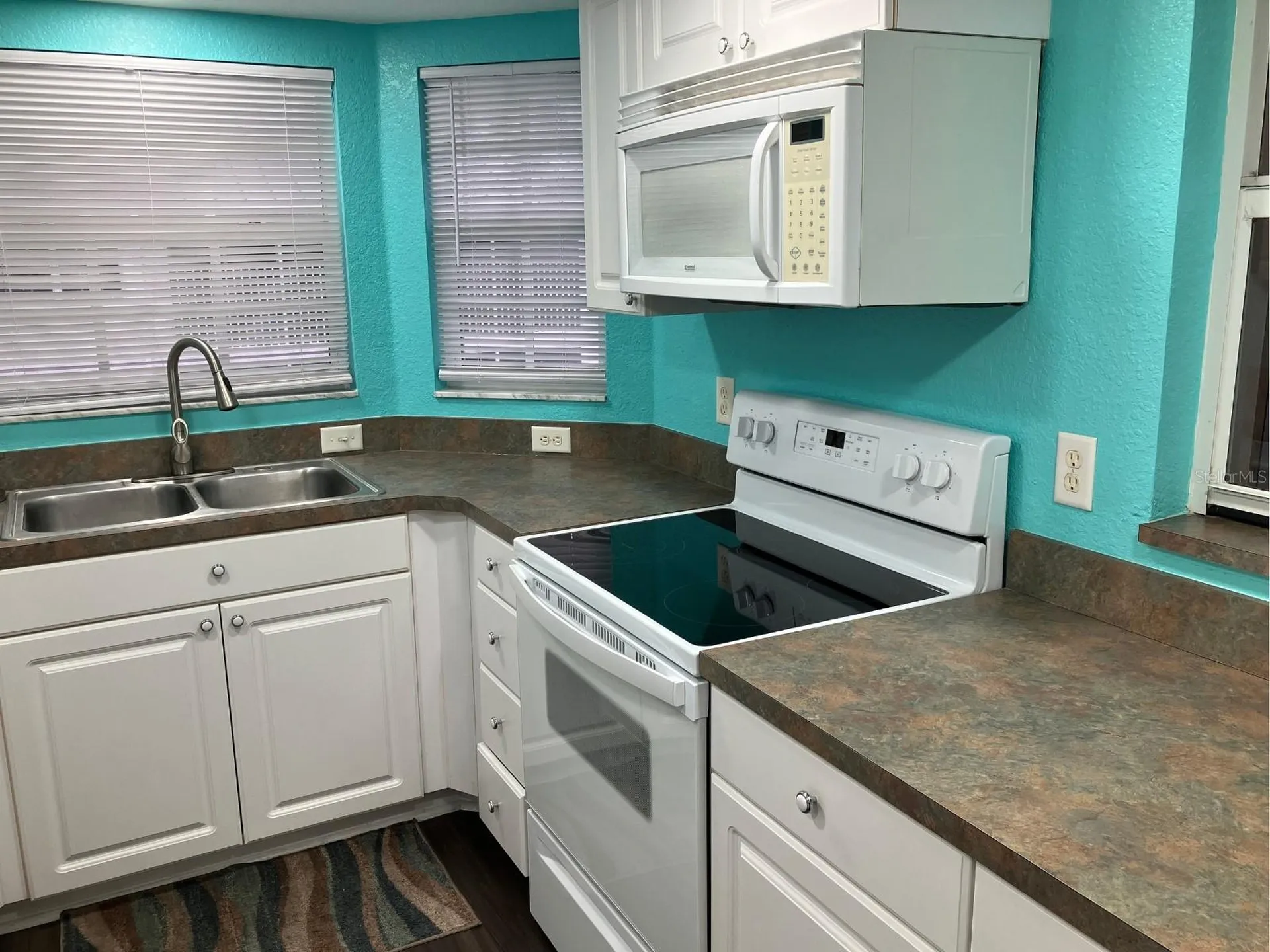 21146 Fountain View Lane Lutz FL 33558