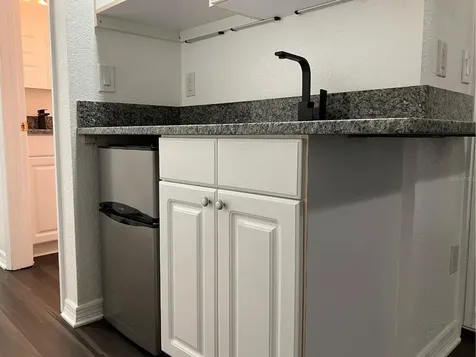 21146 Fountain View Lane Lutz FL 33558