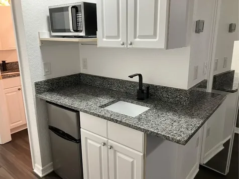 21146 Fountain View Lane Lutz FL 33558