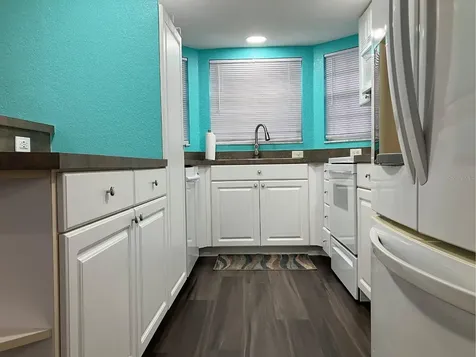 21146 Fountain View Lane Lutz FL 33558