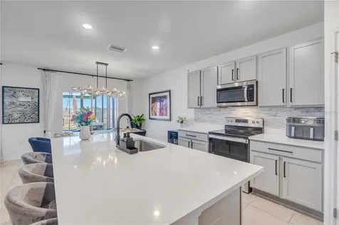 10482 Quail Grove Way San Antonio FL 33576