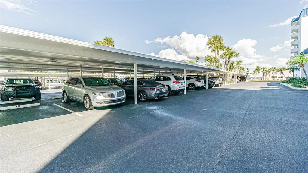 7 Elgin Place Dunedin FL 34698