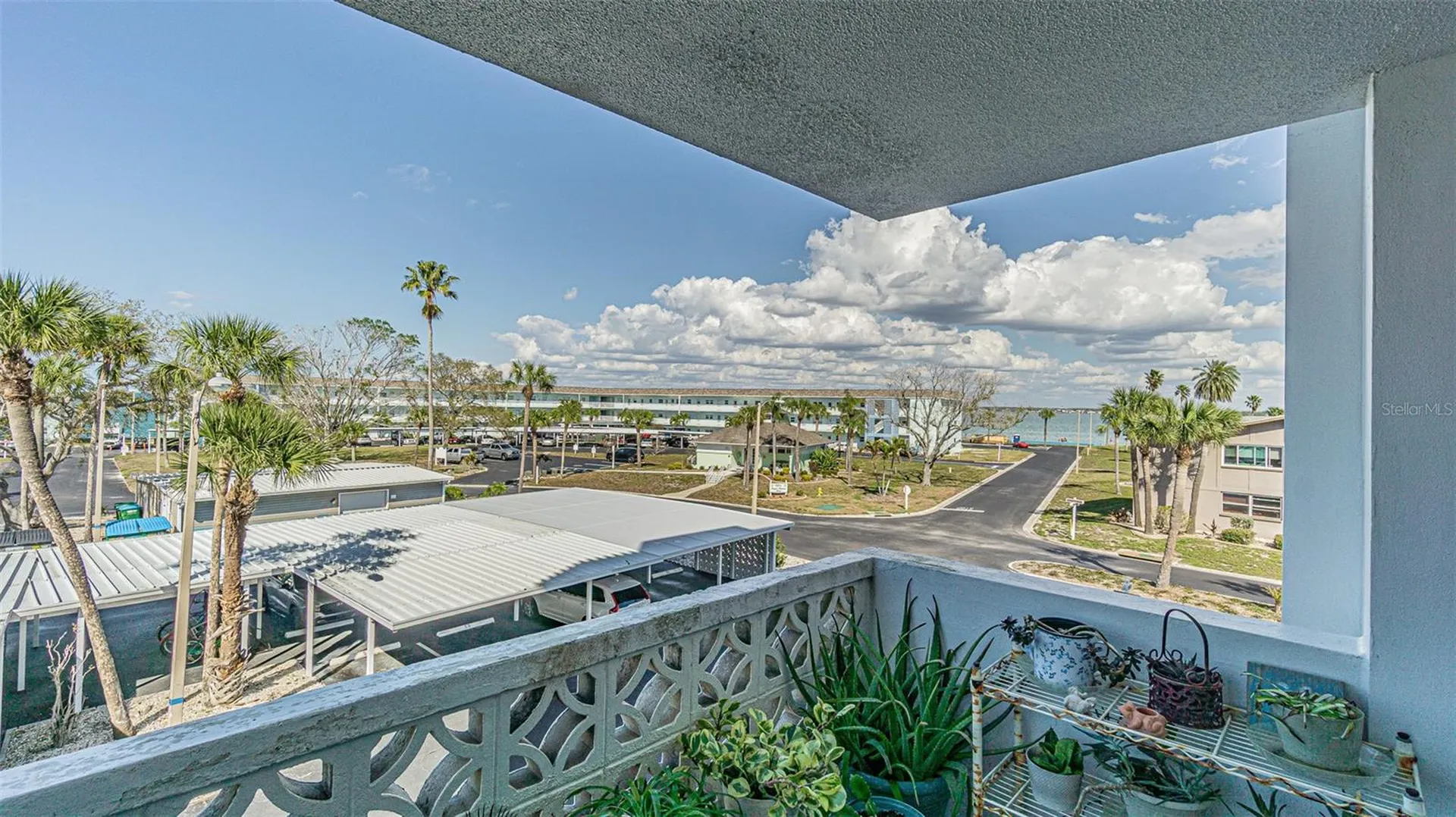 7 Elgin Place Dunedin FL 34698