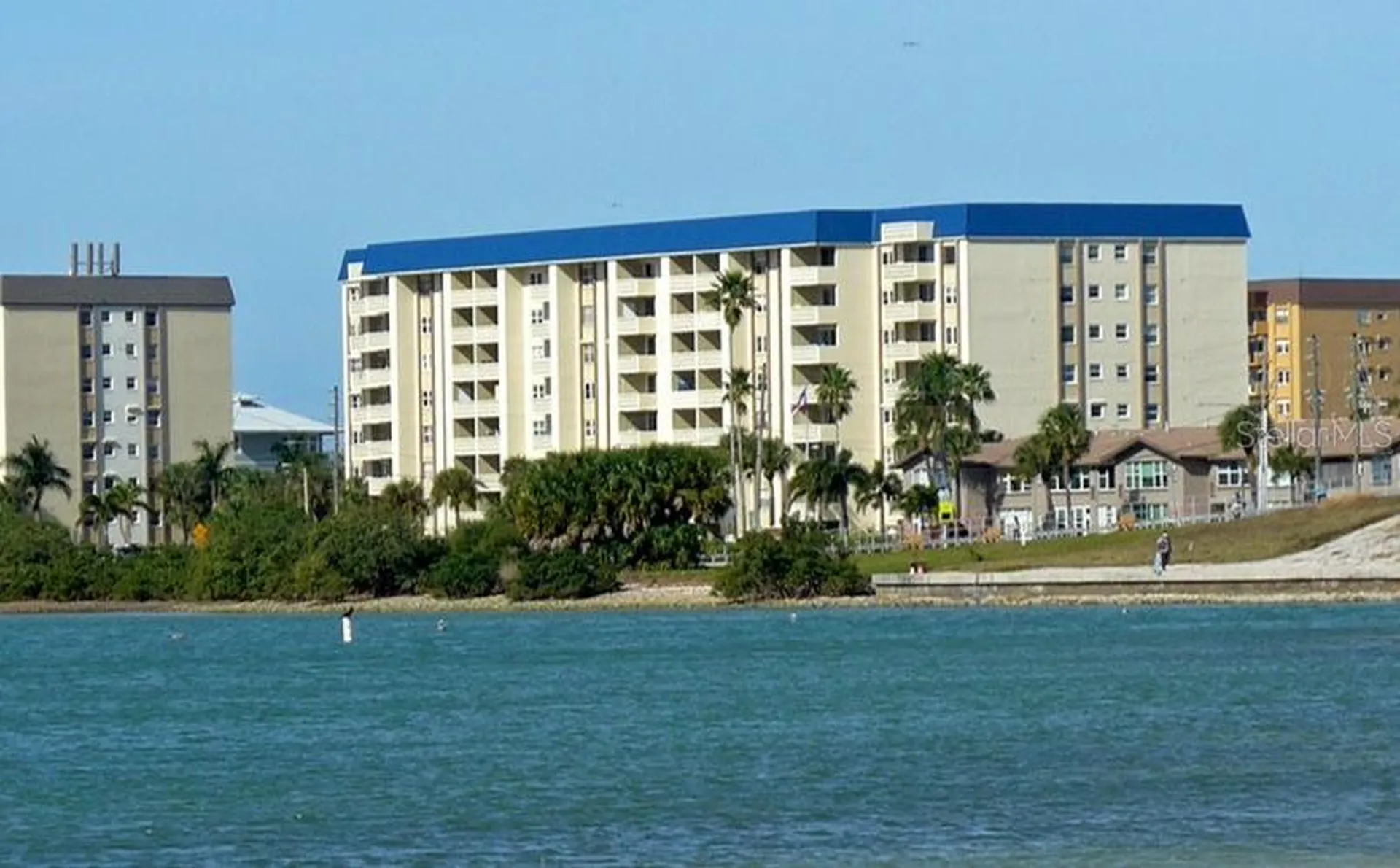 7 Elgin Place Dunedin FL 34698