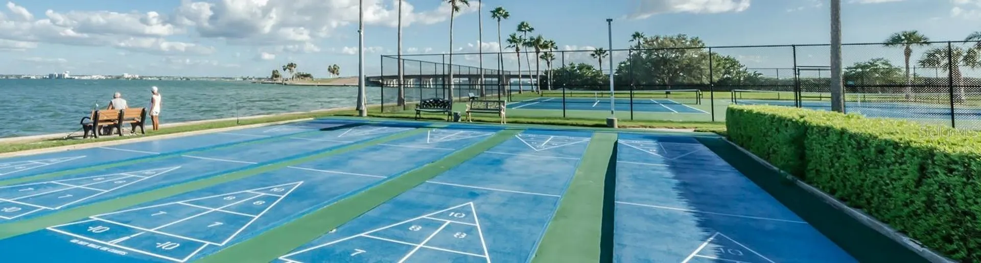 7 Elgin Place Dunedin FL 34698