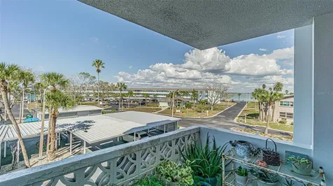 7 Elgin Place Dunedin FL 34698