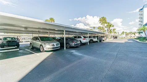 7 Elgin Place Dunedin FL 34698