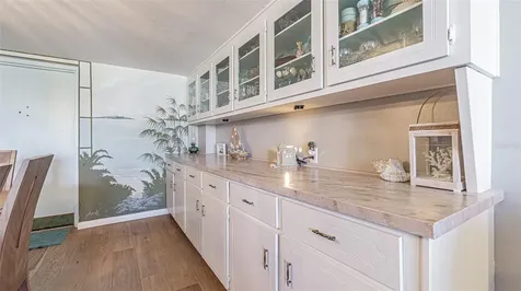 7 Elgin Place Dunedin FL 34698