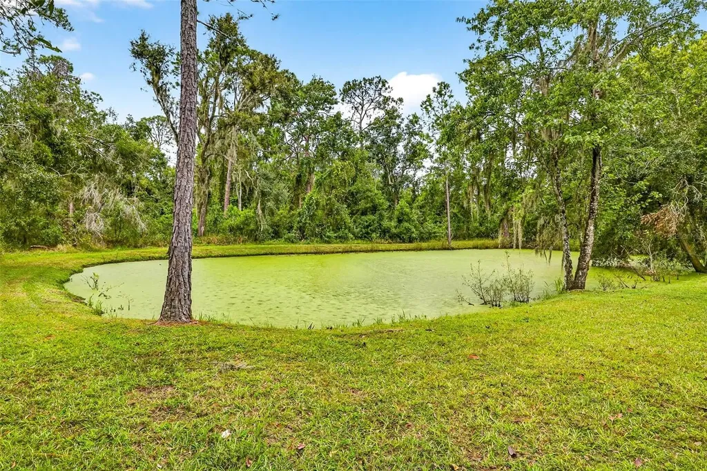 13887 Gavin Road Dover FL 33527