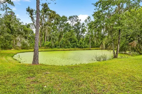13887 Gavin Road Dover FL 33527