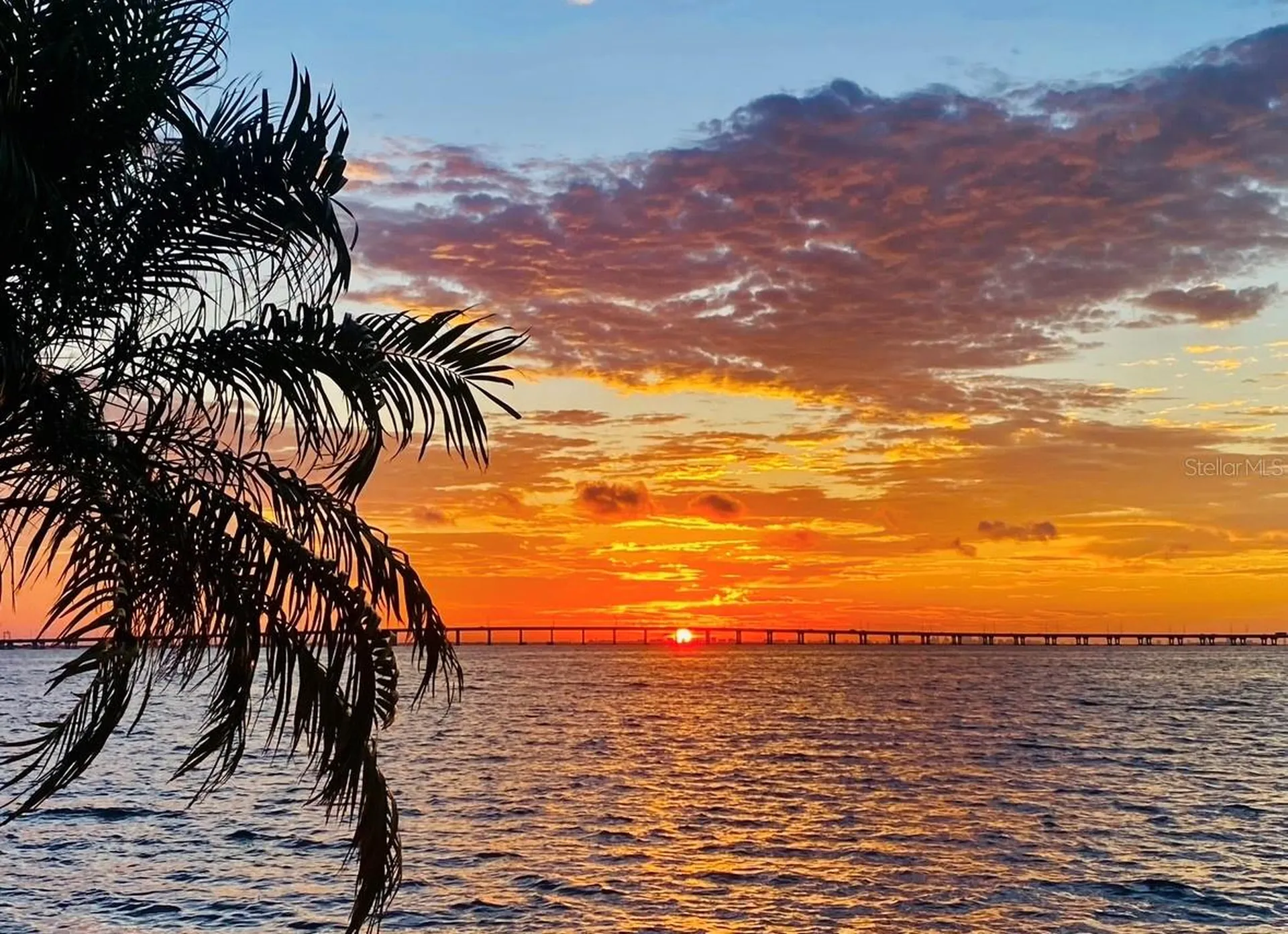 2773 Via Cipriani Clearwater FL 33764