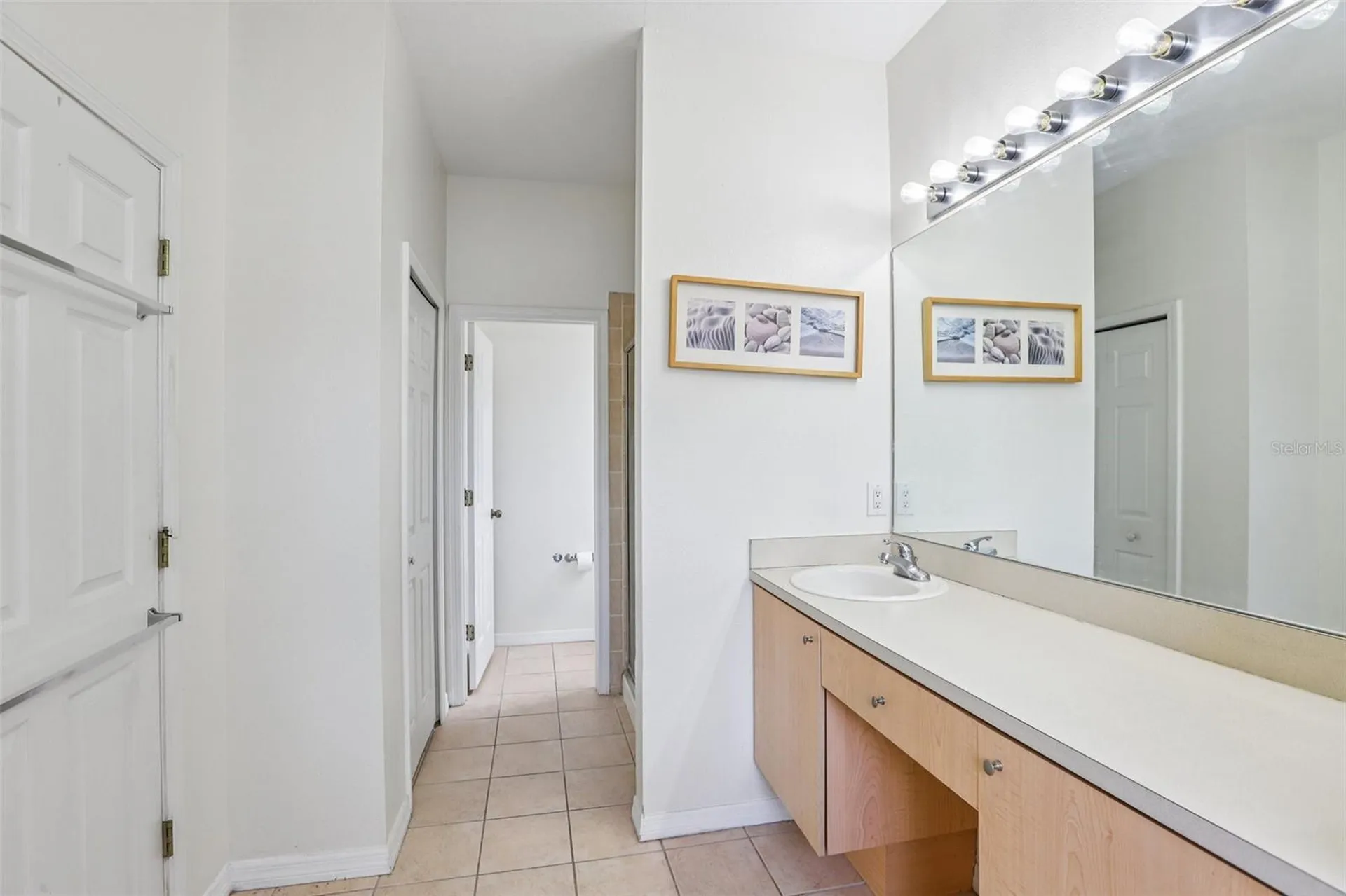 11438 Laurel Brook Court Riverview FL 33569