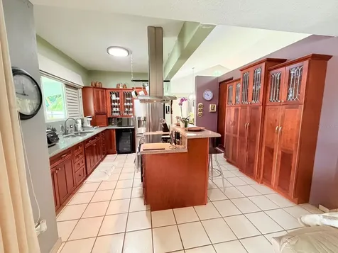 283 Camino Del Mango Gurabo PR 00778