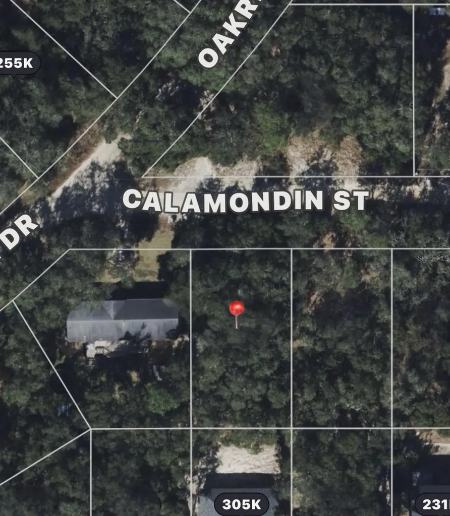 Calamondin Street Lady Lake FL 32159