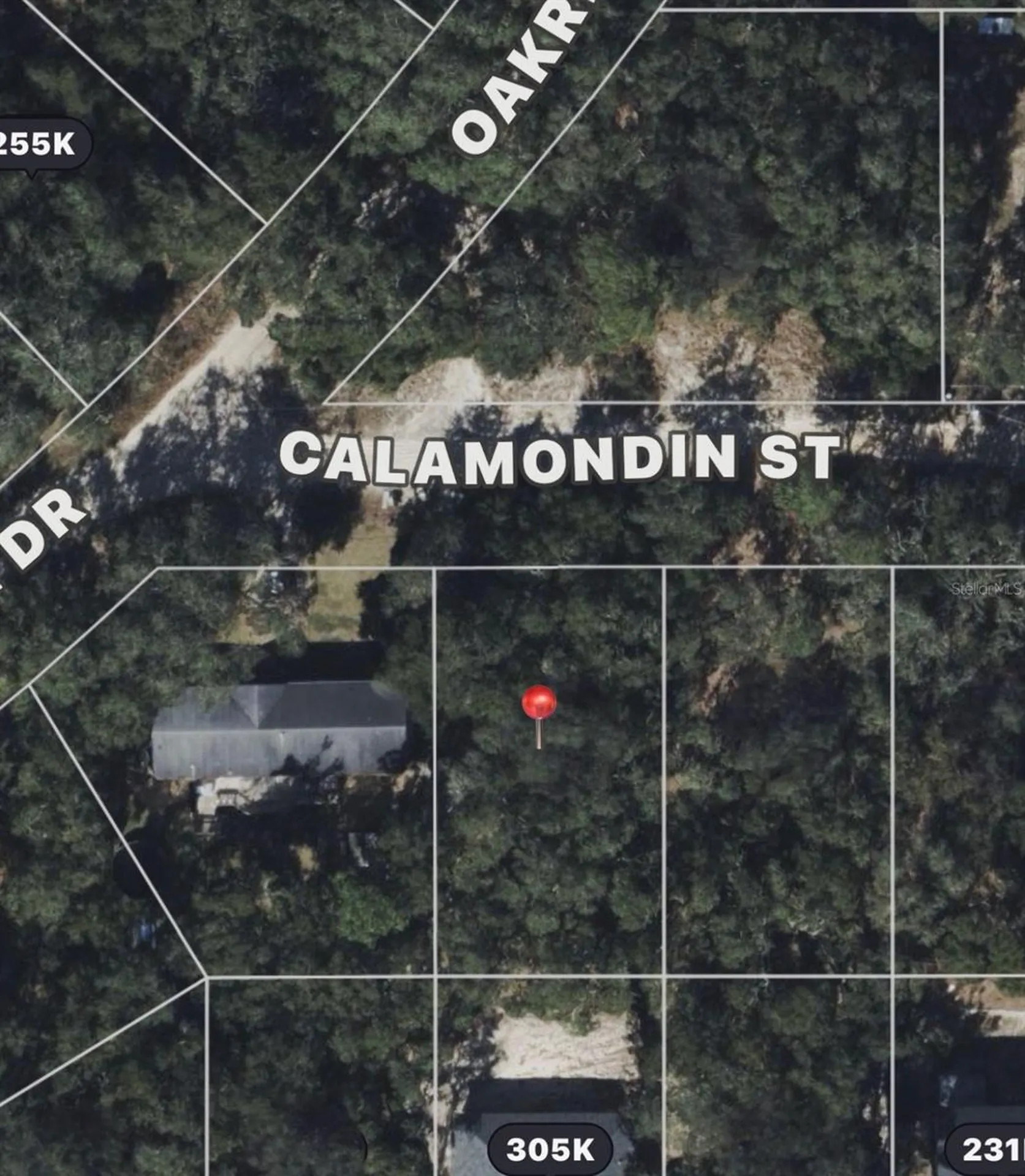 Calamondin Street Lady Lake FL 32159