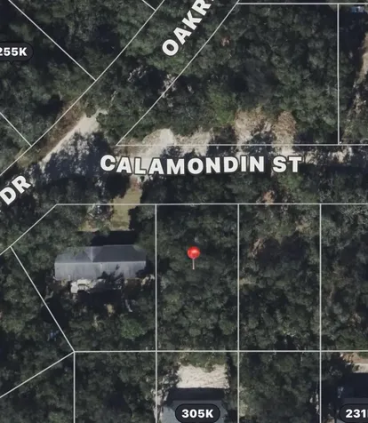Calamondin Street Lady Lake FL 32159